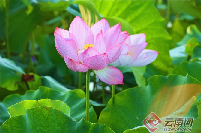 00303902027_07d4f2af 00303902027_07d4f2af