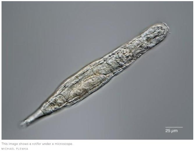 34e8ee727d034d1db66e1df748bc5315 34e8ee727d034d1db66e1df748bc5315