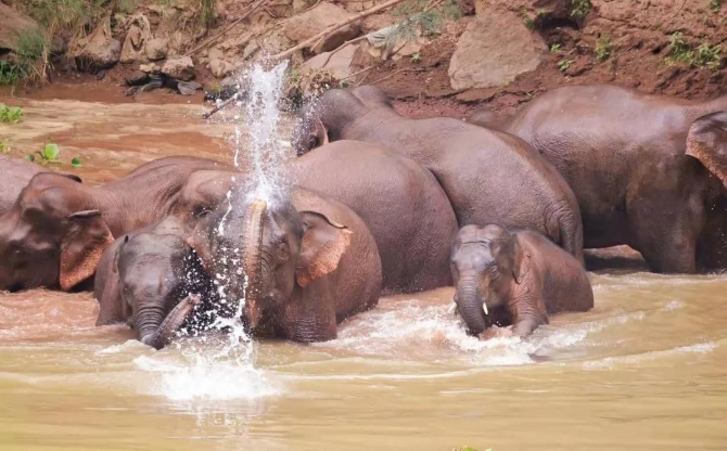 GetAttachment (1).jpg