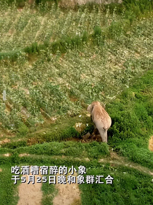 微信图片_20210608102042.png 微信图片_20210608102042.png