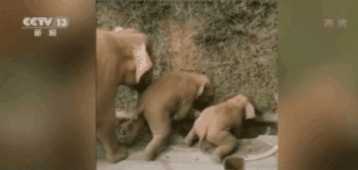 82cbce09f851405bad504c36a9ee5557.gif 82cbce09f851405bad504c36a9ee5557.gif