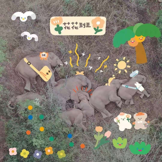 微信图片_20210610192950.jpg 微信图片_20210610192950.jpg