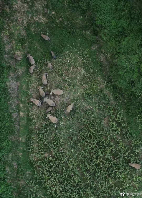 1622547301296580.jpg?x-oss-process=style/w10 微信图片_20210601193432.jpg?x-oss-process=style/w10