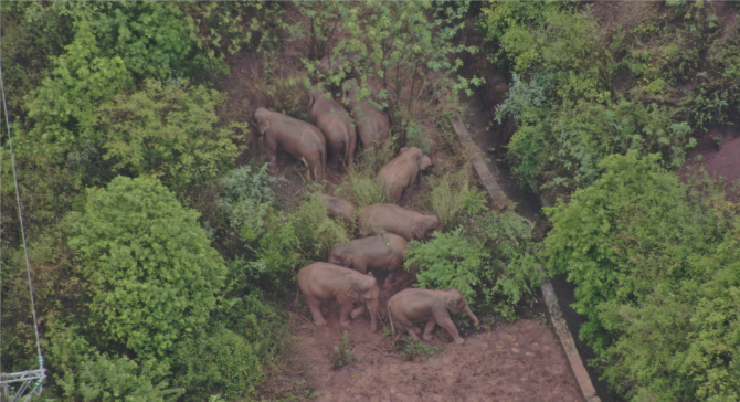 微信图片_20210611101040.png 微信图片_20210611101040.png