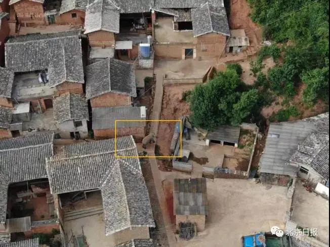 微信图片_20210608110619.jpg 微信图片_20210608110619.jpg