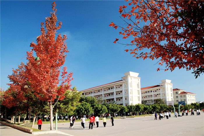 校园景色(1) 校园景色(1)