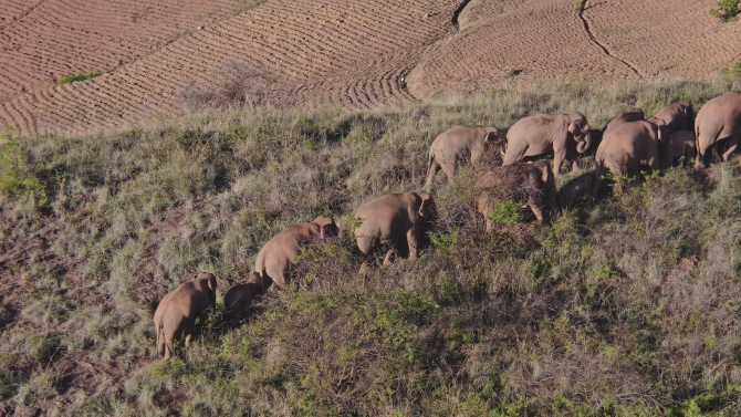 DJI_20210619071906_0024_Z