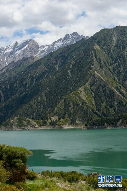 20210621080608194610983