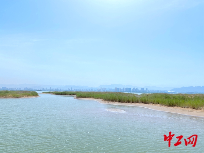 20210623094409066334640