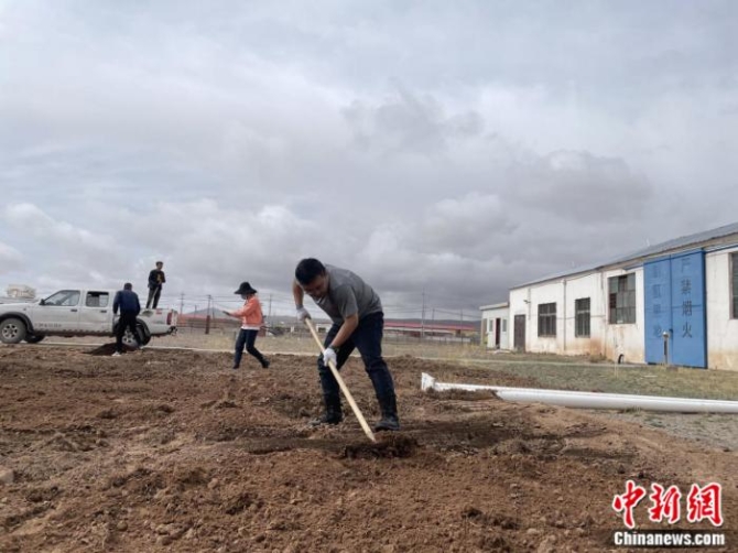 图为苗培林带领职工耕地种草,绿化庭院。 受访者供图
点击进入下一页