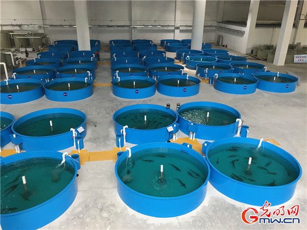 【强国中坚 高质量发展看国企】发力新智造打造新引擎,中部国企转型发展进行时 【强国中坚 高质量发展看国企】发力新智造打造新引擎,中部国企转型发展进行时