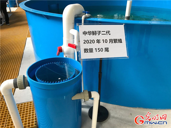 【强国中坚 高质量发展看国企】发力新智造打造新引擎,中部国企转型发展进行时 【强国中坚 高质量发展看国企】发力新智造打造新引擎,中部国企转型发展进行时