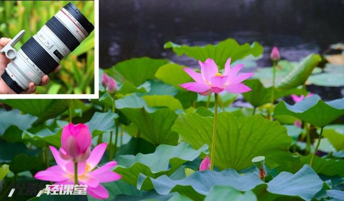 微信图片_20210702143144 微信图片_20210702143144