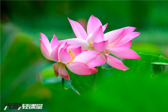 1127616942_16251928721911n 1127616942_16251928721911n