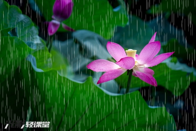 1127616942_16251928722031n 1127616942_16251928722031n