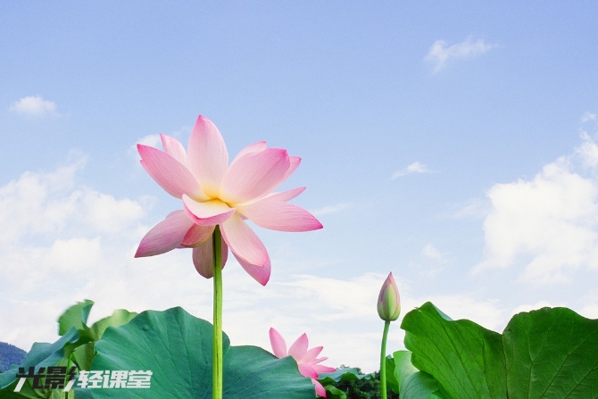 1127616942_16251928722041n 1127616942_16251928722041n