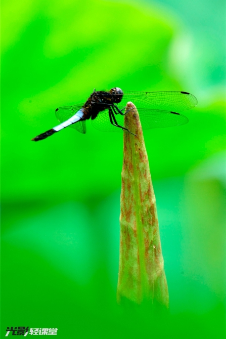 1127616942_16251928722051n 1127616942_16251928722051n