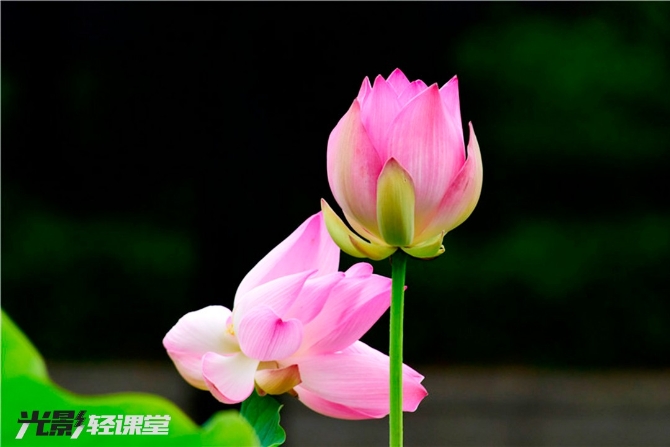 1127616942_16251928722191n 1127616942_16251928722191n