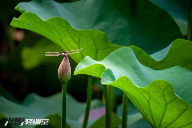 1127616942_16251928722241n 1127616942_16251928722241n