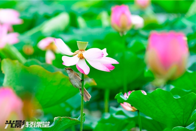 1127616942_16251928722501n 1127616942_16251928722501n