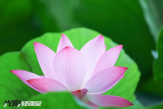 1127616942_16251928722511n 1127616942_16251928722511n