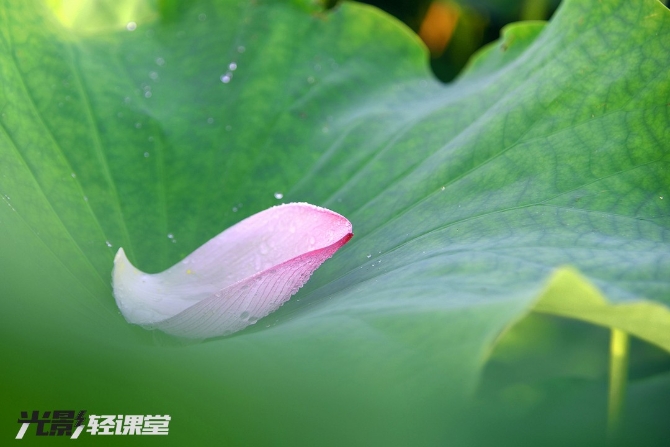 1127616942_16251928722531n 1127616942_16251928722531n