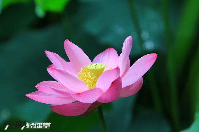 1127616942_16251928722661n 1127616942_16251928722661n