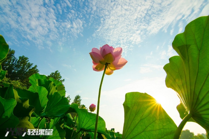 1127616942_16251928722671n 1127616942_16251928722671n