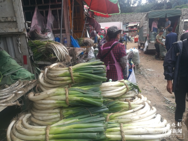 昆明大葱降价（春城晚报-开屏新闻记者 夏体雷 摄）