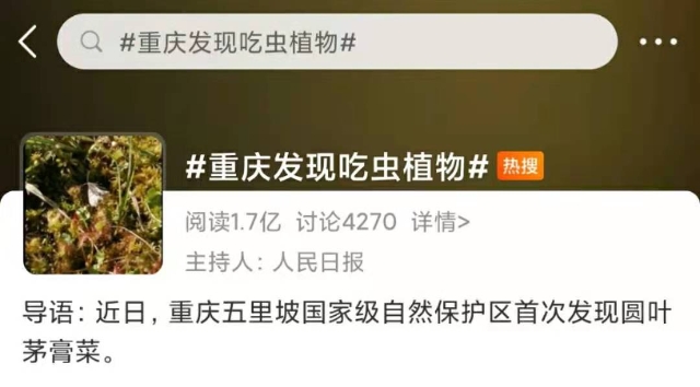 神秘的吃虫植物上了热搜！1.7亿网友围观！