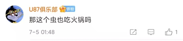 神秘的吃虫植物上了热搜！1.7亿网友围观！