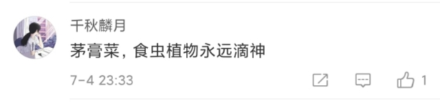 神秘的吃虫植物上了热搜！1.7亿网友围观！