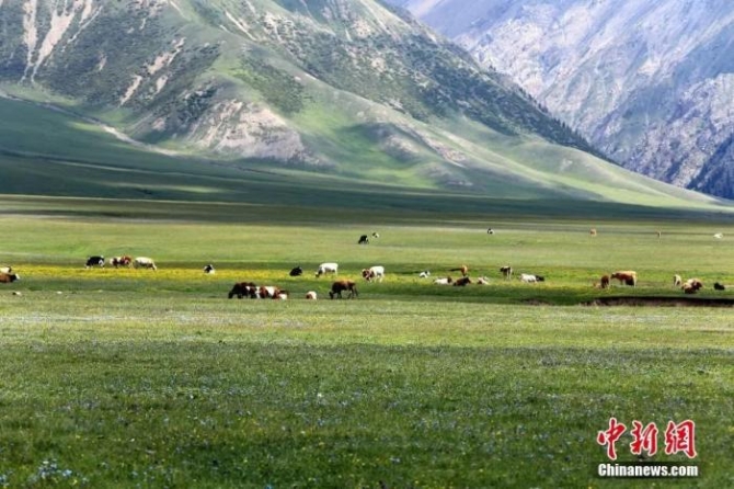 资料图:6月12日,新疆维吾尔自治区博尔塔拉蒙古自治州境内的赛里木湖海西草原景色美丽。<a target='_blank' href='http://www.chinanews.com/'>中新社</a>发 胡维斌 摄 图片来源:CNSPHOTO 点击进入下一页