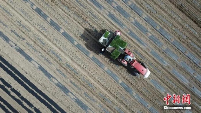 资料图:6月12日,新疆维吾尔自治区博尔塔拉蒙古自治州境内的赛里木湖海西草原景色美丽。<a target='_blank' href='http://www.chinanews.com/'>中新社</a>发 胡维斌 摄 图片来源:CNSPHOTO 点击进入下一页