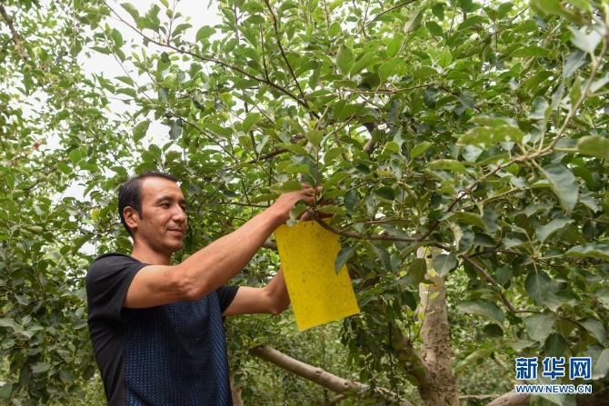 1127625314_16255017554111n 1127625314_16255017554111n