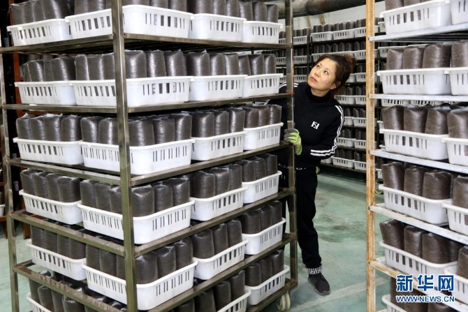 1127625314_16255015530091n 1127625314_16255015530091n