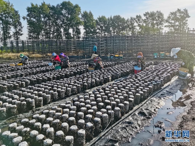 1127625314_16255016755711n 1127625314_16255016755711n