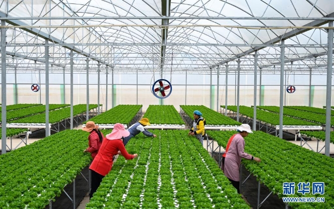 1127625314_16255016500211n 1127625314_16255016500211n