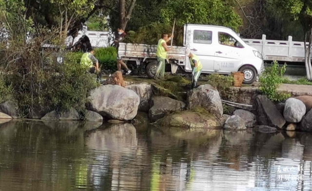 丽江黑龙潭水草、浮萍等疯狂增长的废物“上岸”了！ 王法 摄