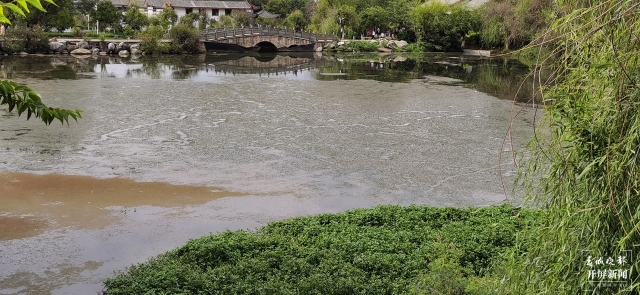 丽江黑龙潭水草、浮萍等疯狂增长的废物“上岸”了！ 王法 摄