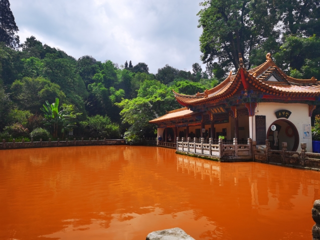 昆明黑龙潭水变红（供图）
