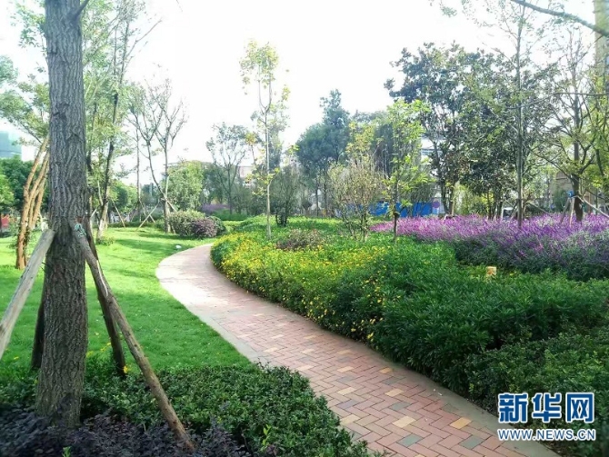 昆明将评选美丽街道、最美游园和最靓橱窗4 昆明将评选美丽街道、最美游园和最靓橱窗4