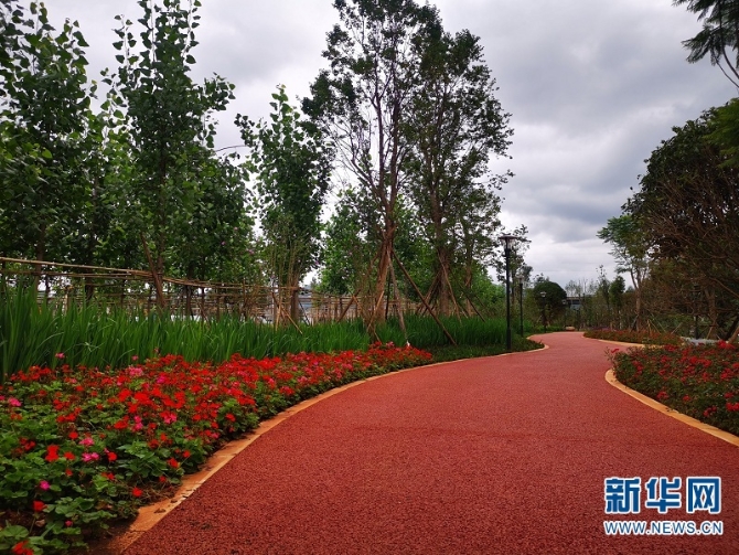 昆明将评选美丽街道、最美游园和最靓橱窗5 昆明将评选美丽街道、最美游园和最靓橱窗5