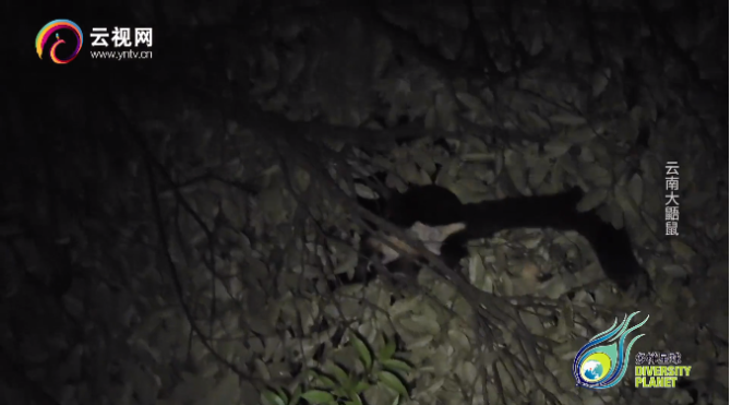 微信图片_20210709171852