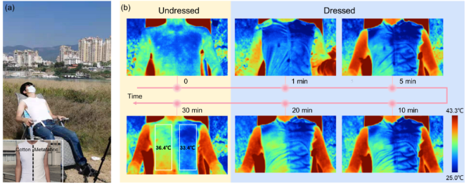 6564ccd075c94ae6b26b9a897ad18484