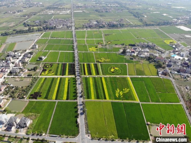 余杭永安村 余杭区委宣传部供图 余杭永安村 余杭区委宣传部供图