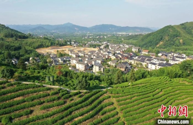 余杭径山村 王刚 摄 余杭径山村 王刚 摄