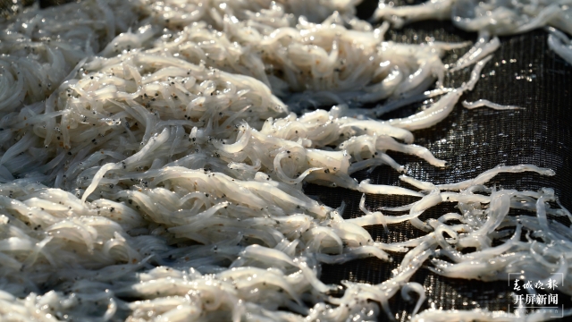 数万盏渔灯点亮丽江程海（春城晚报-开屏新闻记者 木晓雯 通讯员 子云泽 杨波 摄）