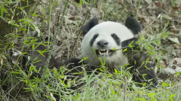 微信图片_20210714145021