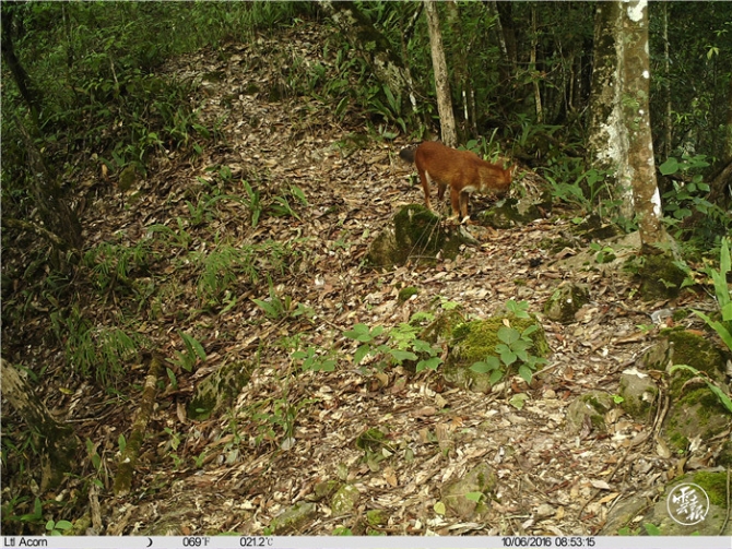 code_ynrb650274ef-6211-45fa-9984-4f20f30d928d code_ynrb650274ef-6211-45fa-9984-4f20f30d928d